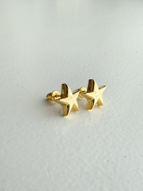 ✧ NEW ✧ star pierce/earring(予約商品)